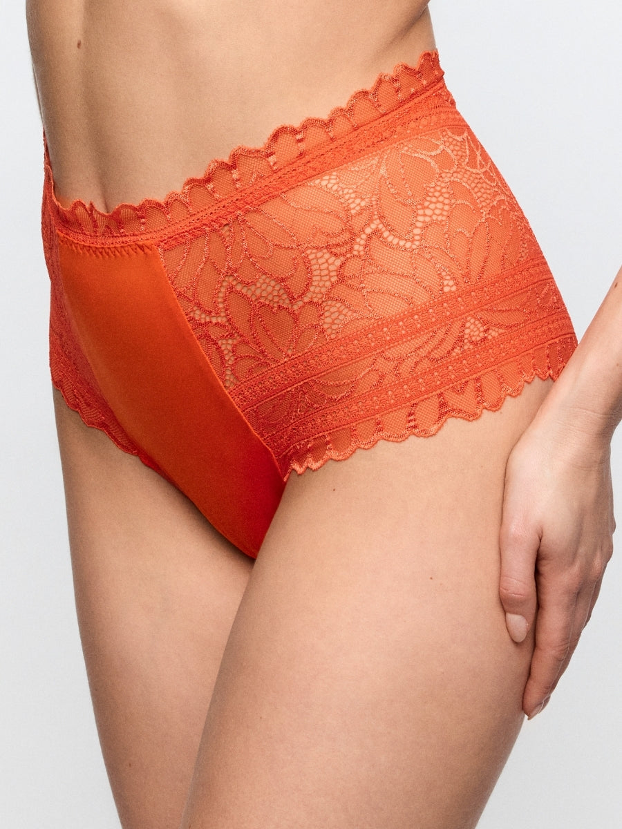 Cerina Special Brief