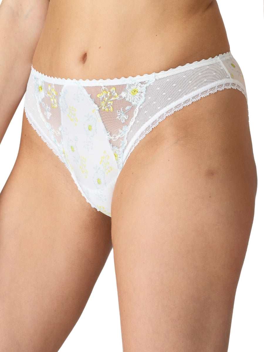 Chen Rio Brief