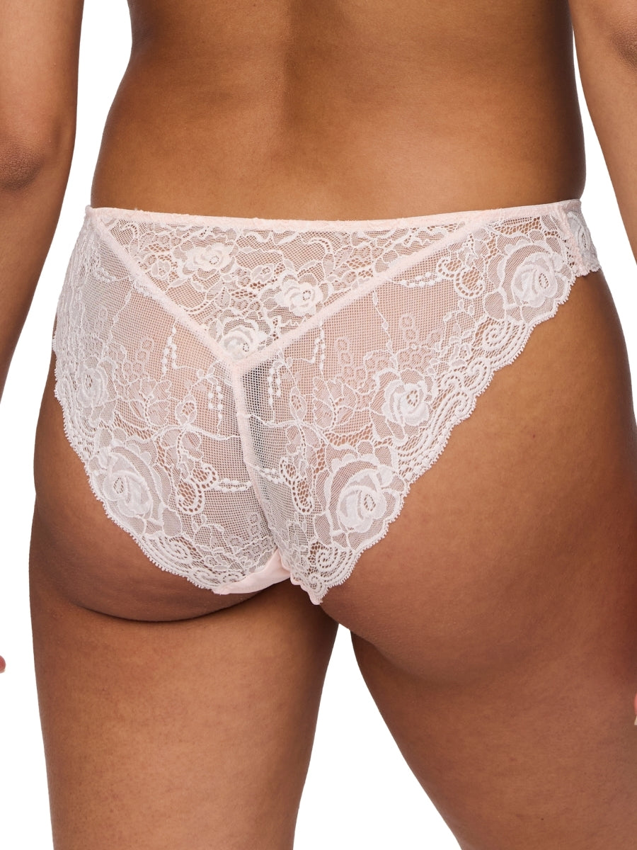 Cyrile Rio Brief