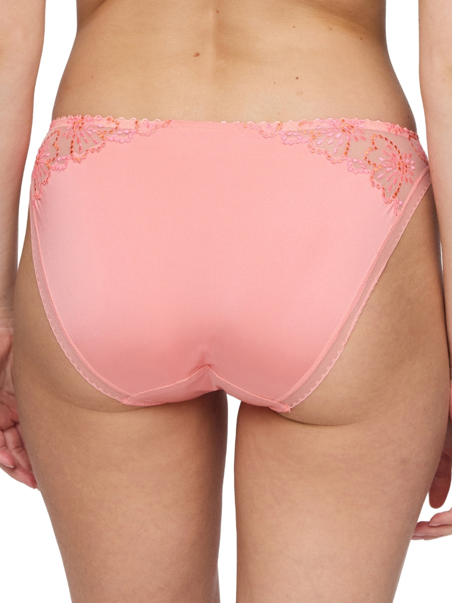 Jane Rio Brief