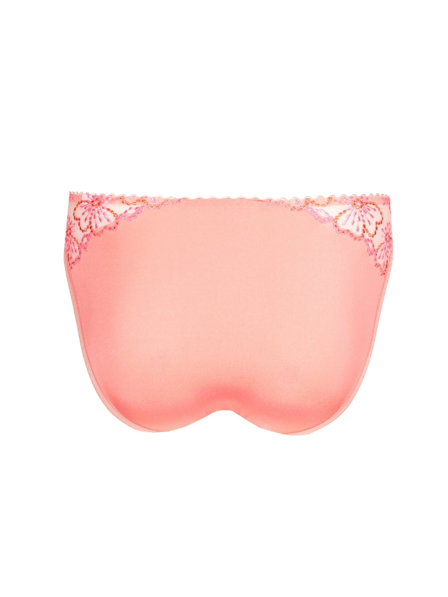 Jane Rio Brief
