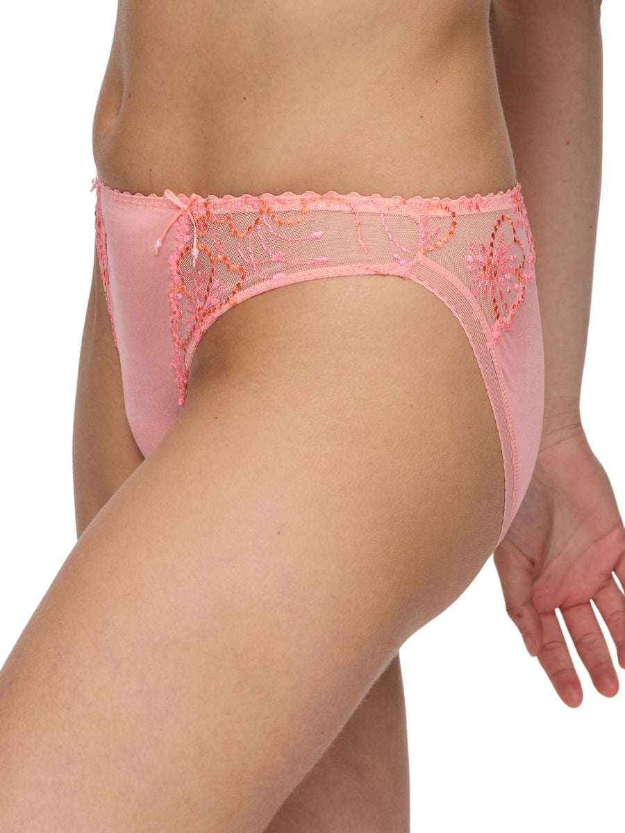 Jane Rio Brief
