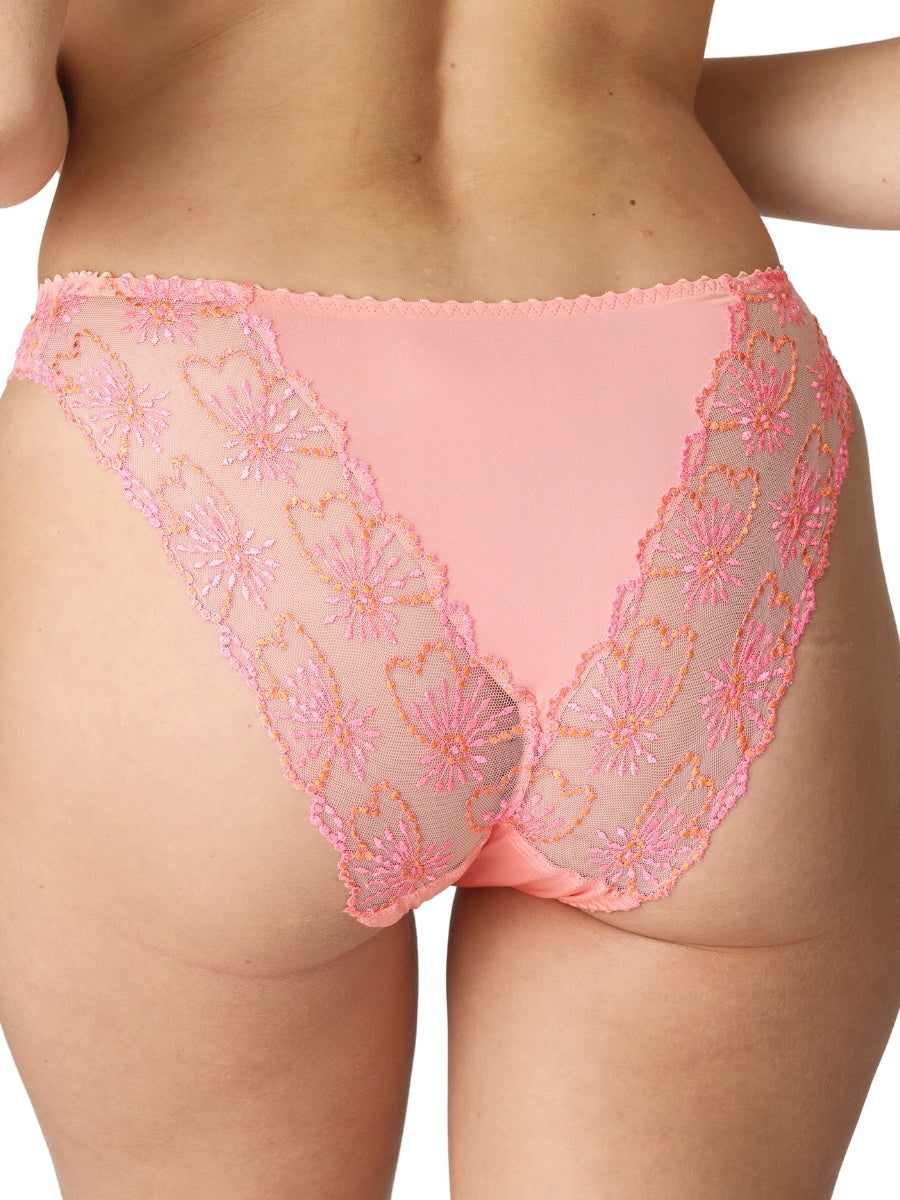 Jane Italian Brief