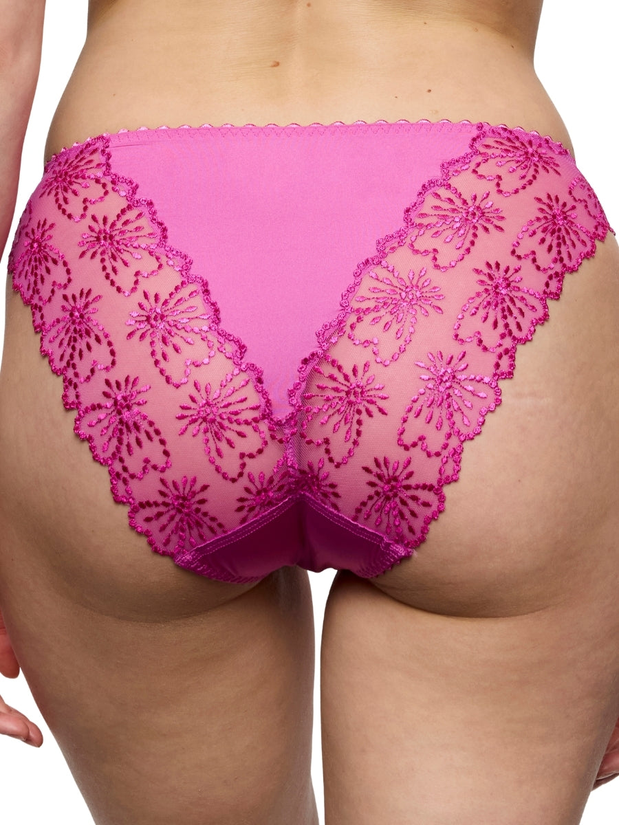Jane Italian Brief