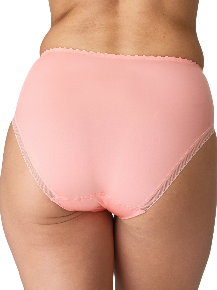 Jane Full Brief