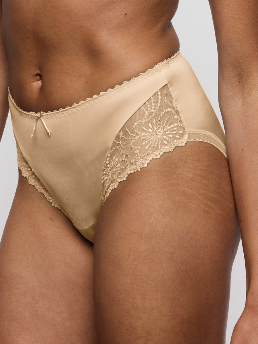 Jane Full Brief