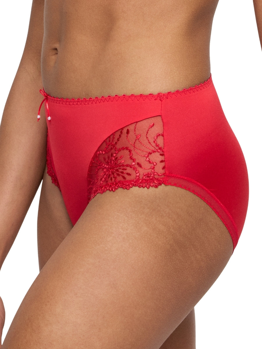 Jane Full Brief