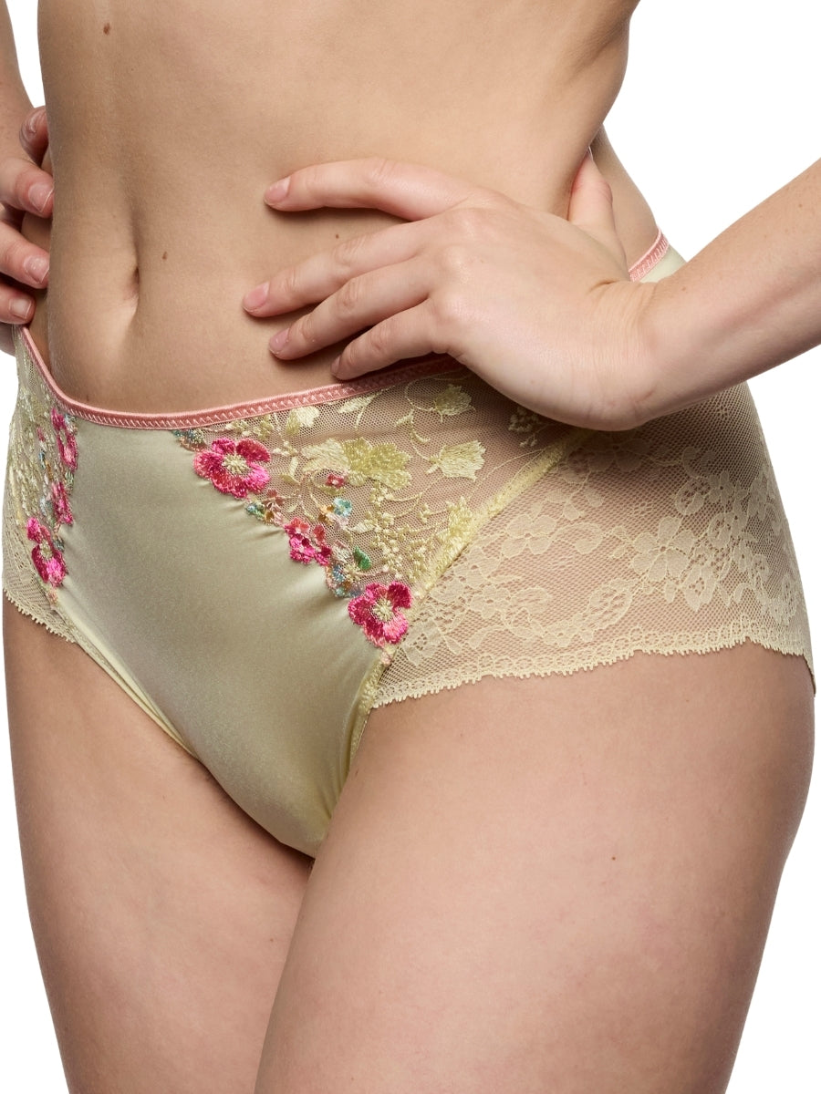 Lizelot Full Brief