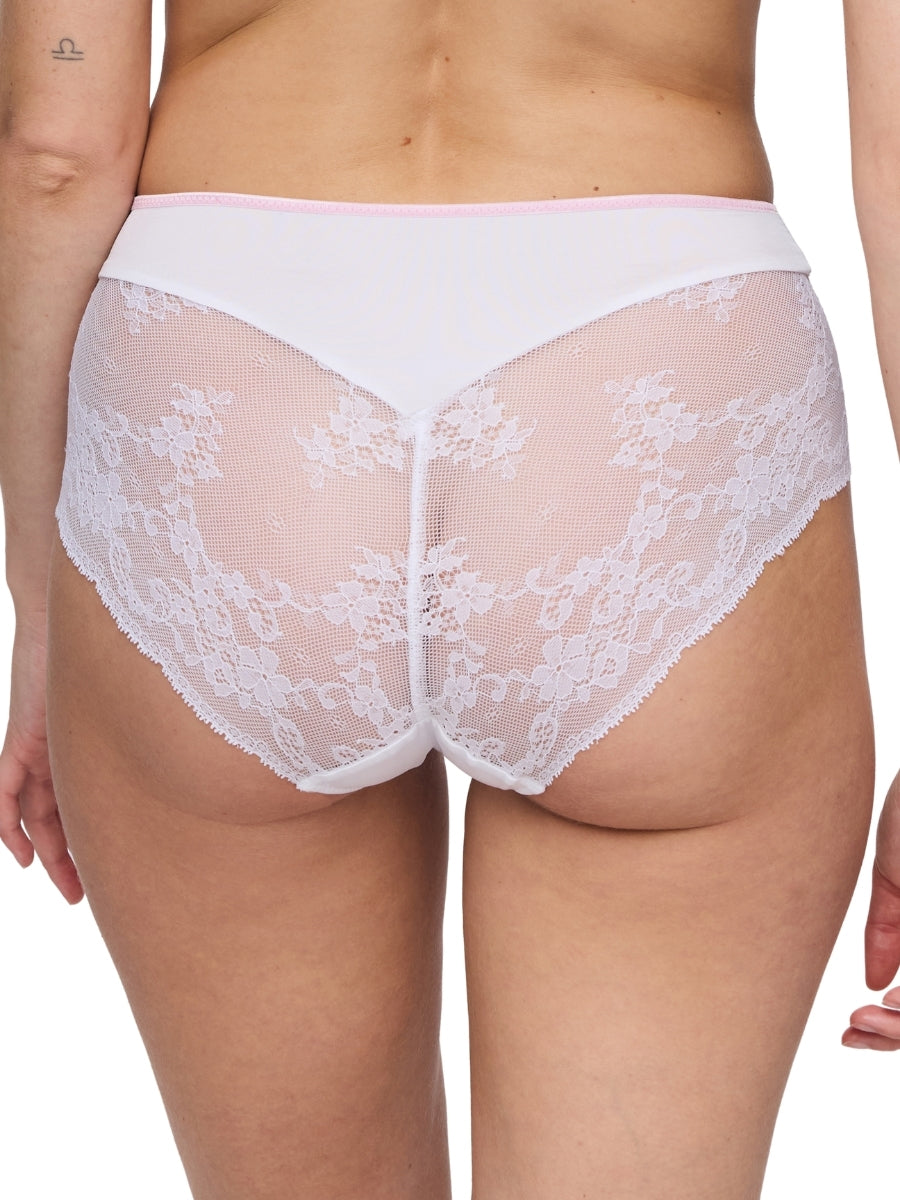 Lizelot Full Brief