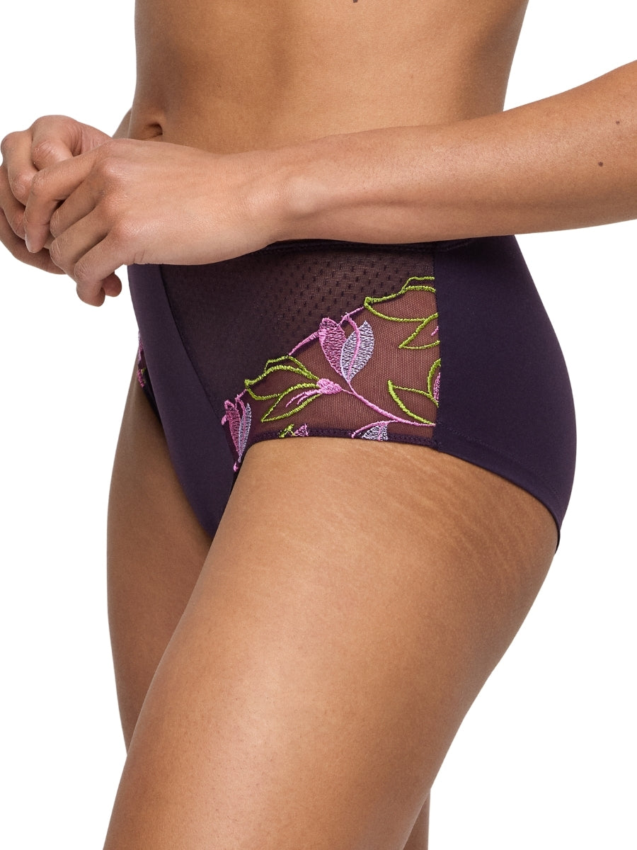 Loish Full Brief