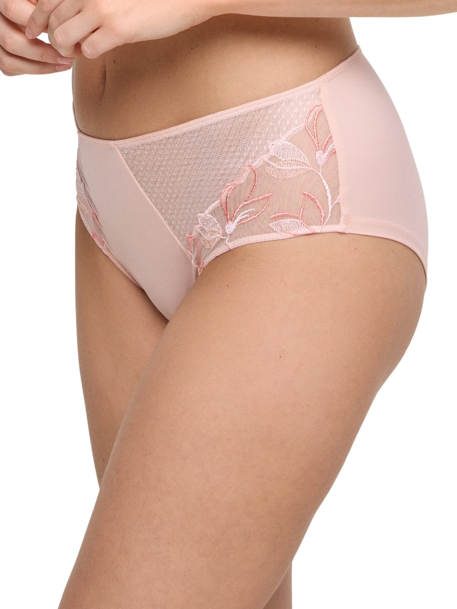Loish Full Brief