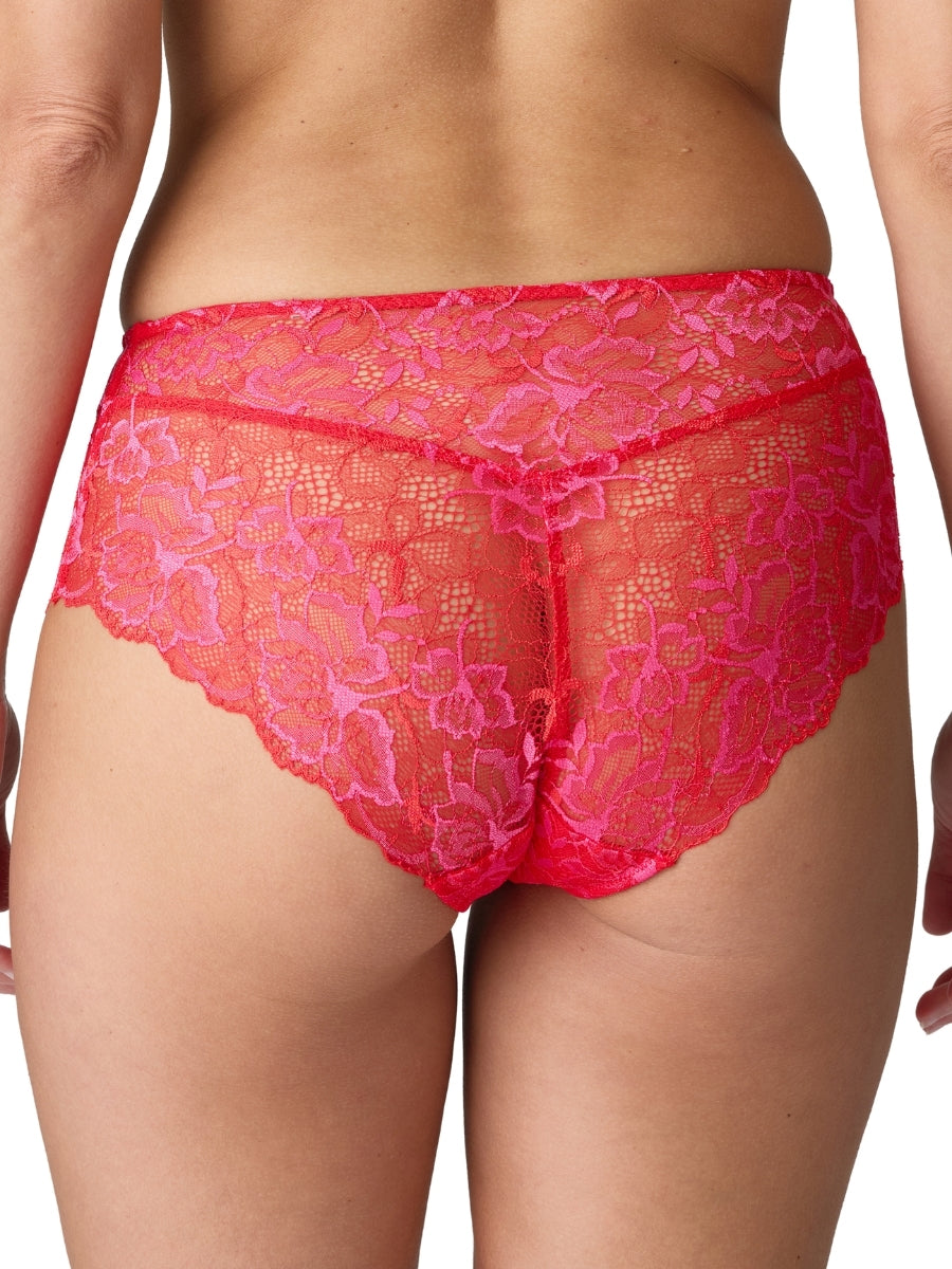 Manyla Full Brief