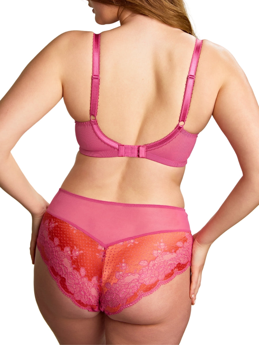 Clara Deep Brief