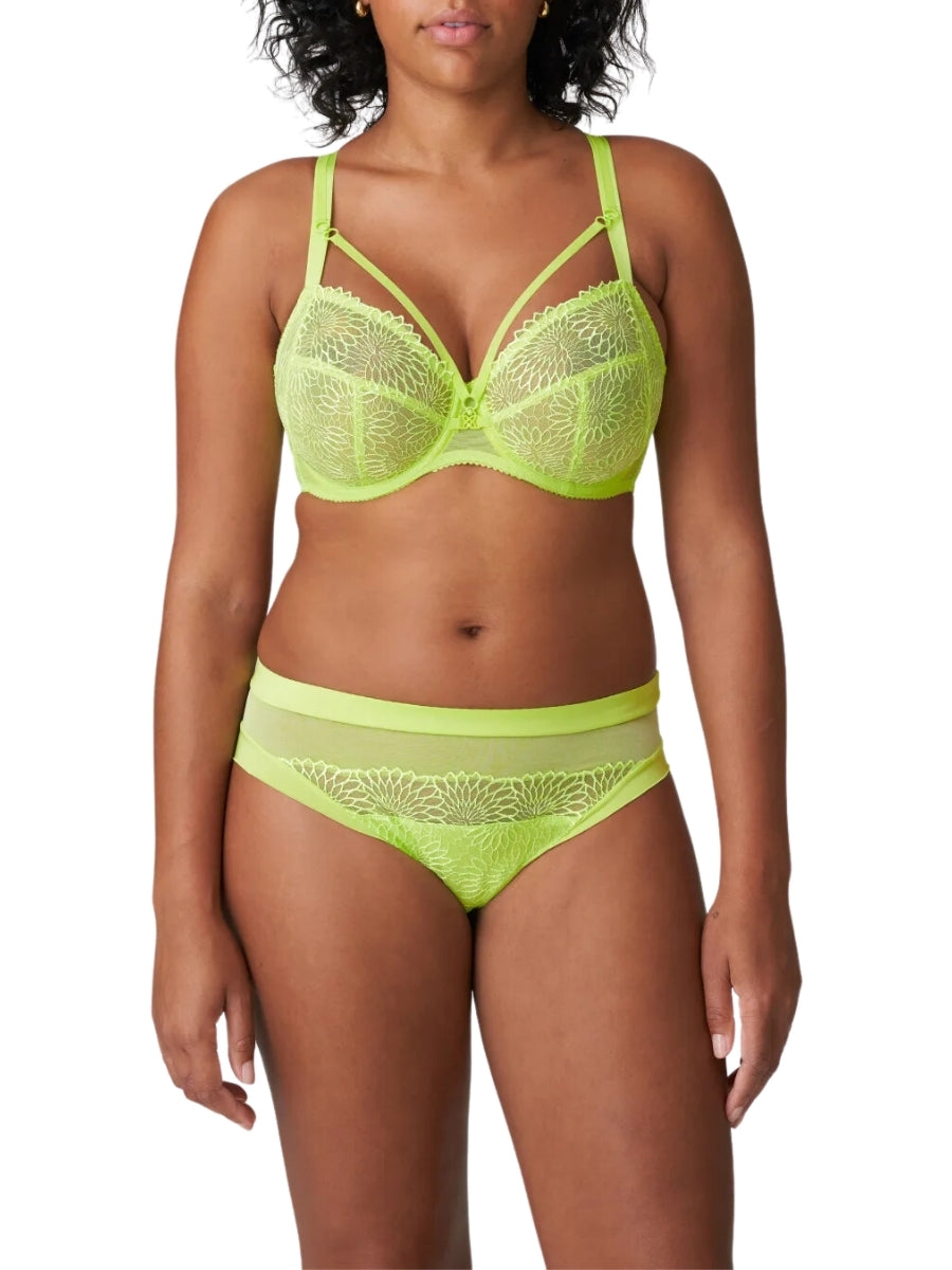 Sophora Rio Brief