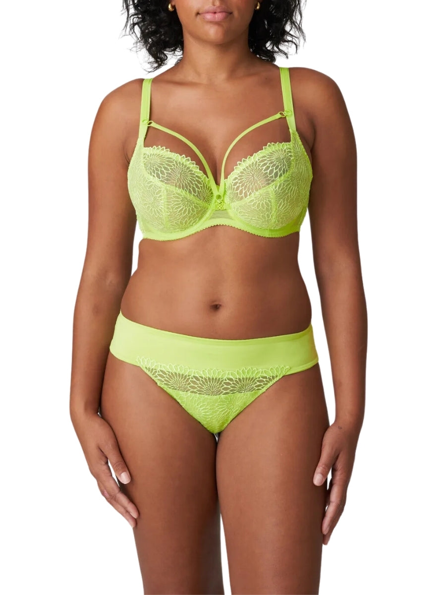 Sophora Thong