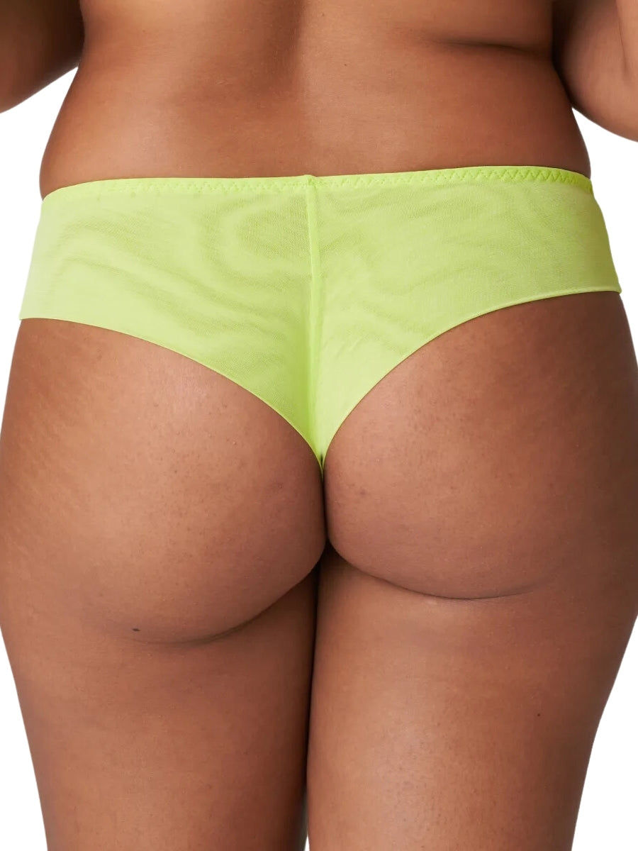Sophora Thong