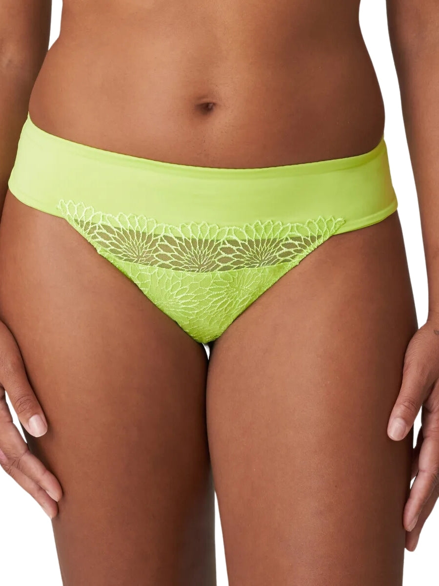 Sophora Thong