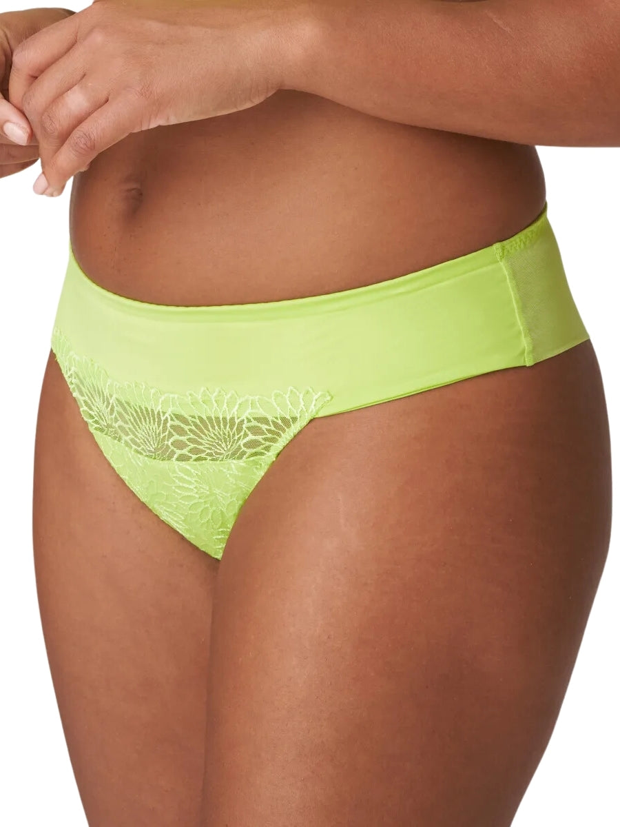 Sophora Thong