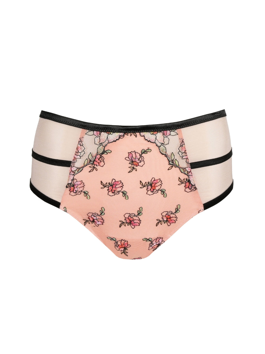 Eraclea Full Brief