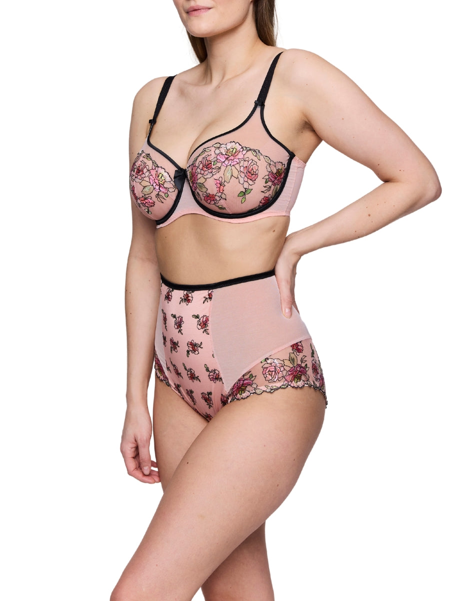 Eraclea Special Brief