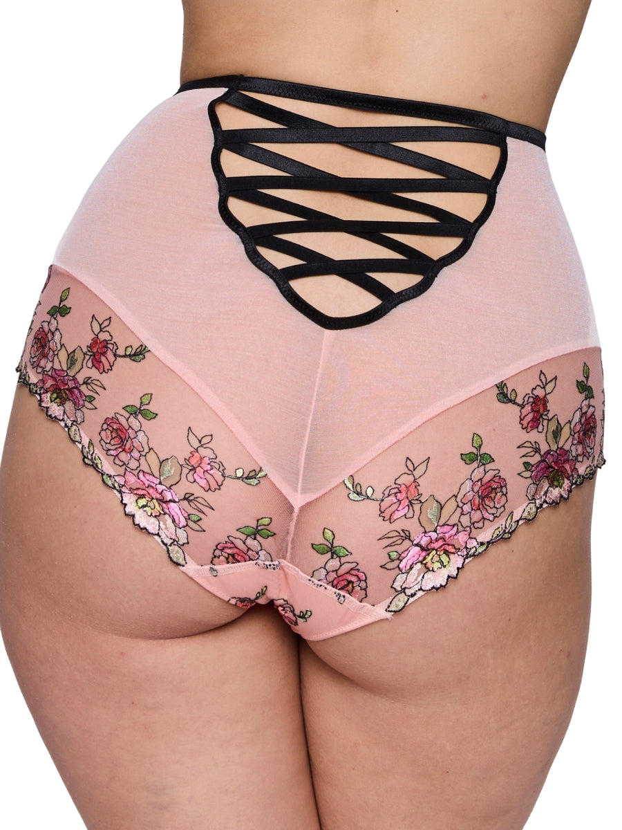 Eraclea Special Brief