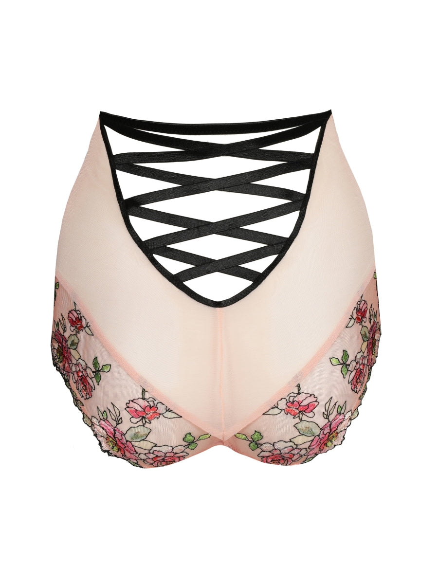 Eraclea Special Brief