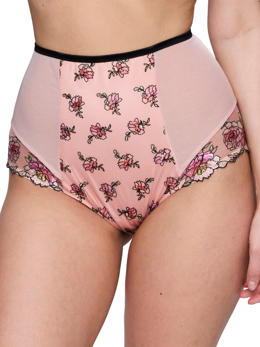 Eraclea Special Brief