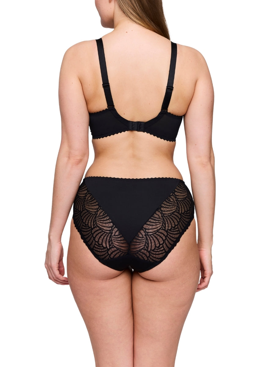 Gallipoli Full Brief