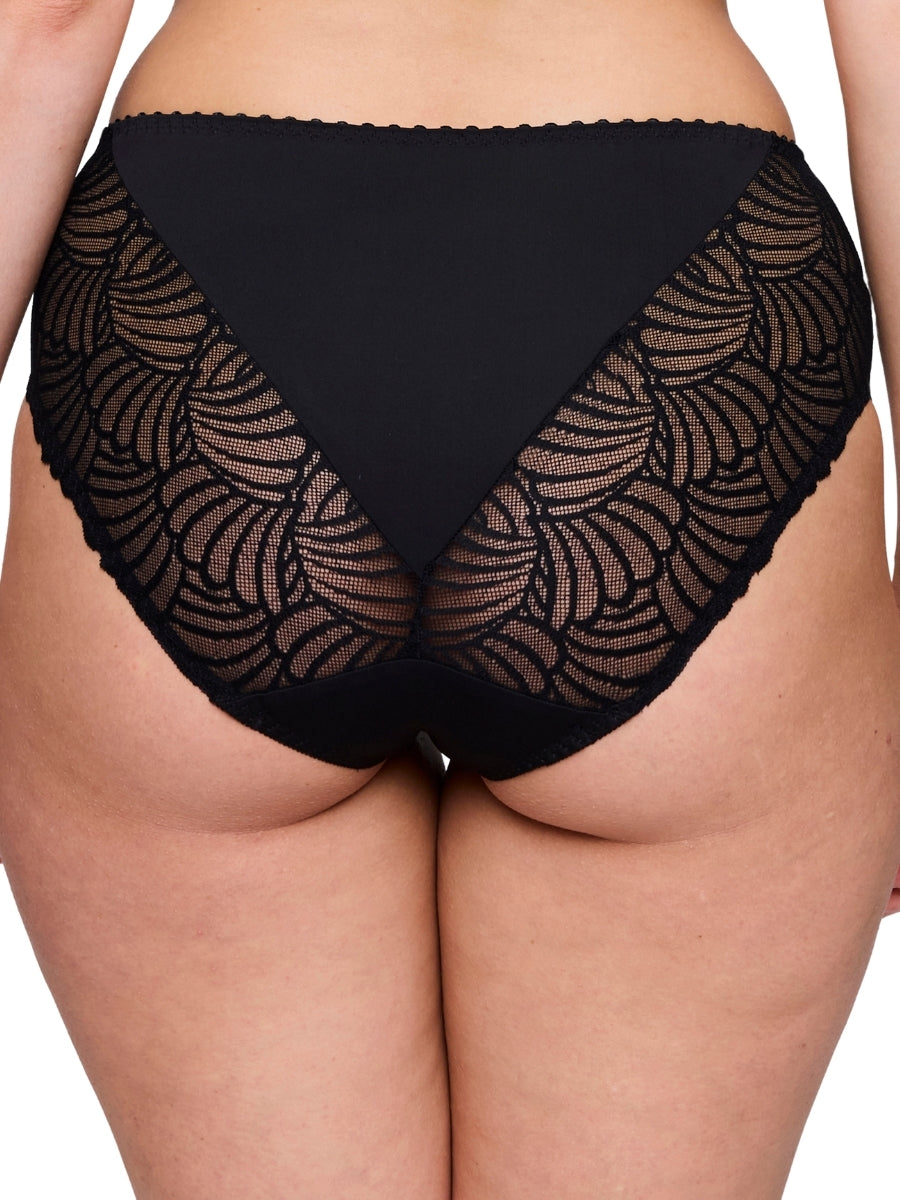 Gallipoli Full Brief