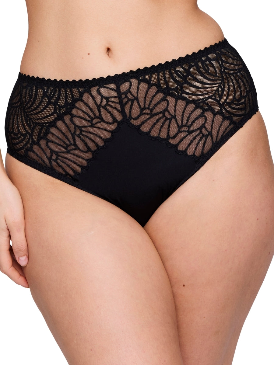 Gallipoli Full Brief