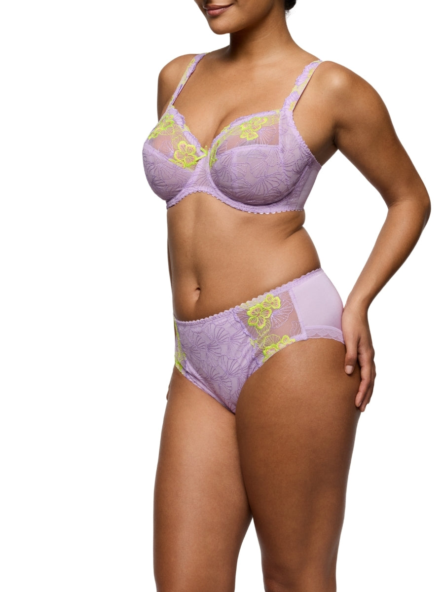 Ixia Full Brief