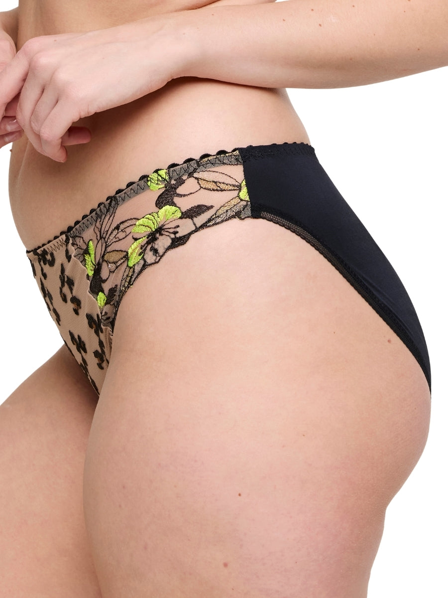 Manali Rio Brief