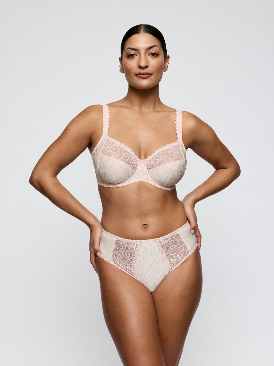 Monterrey Full Brief