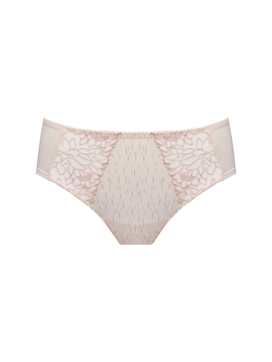 Monterrey Full Brief