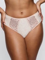 Monterrey Full Brief