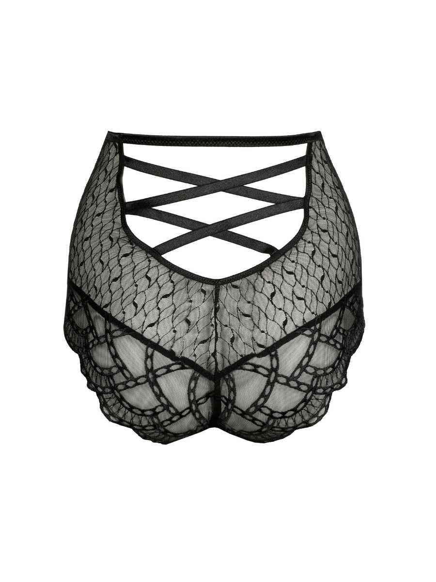 Naica Special Brief