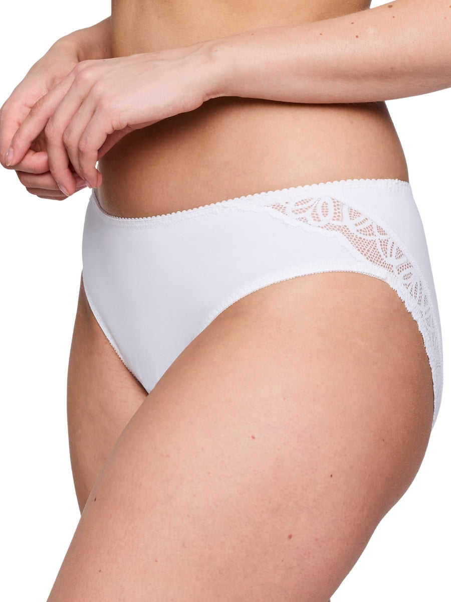 Salerno Rio Brief