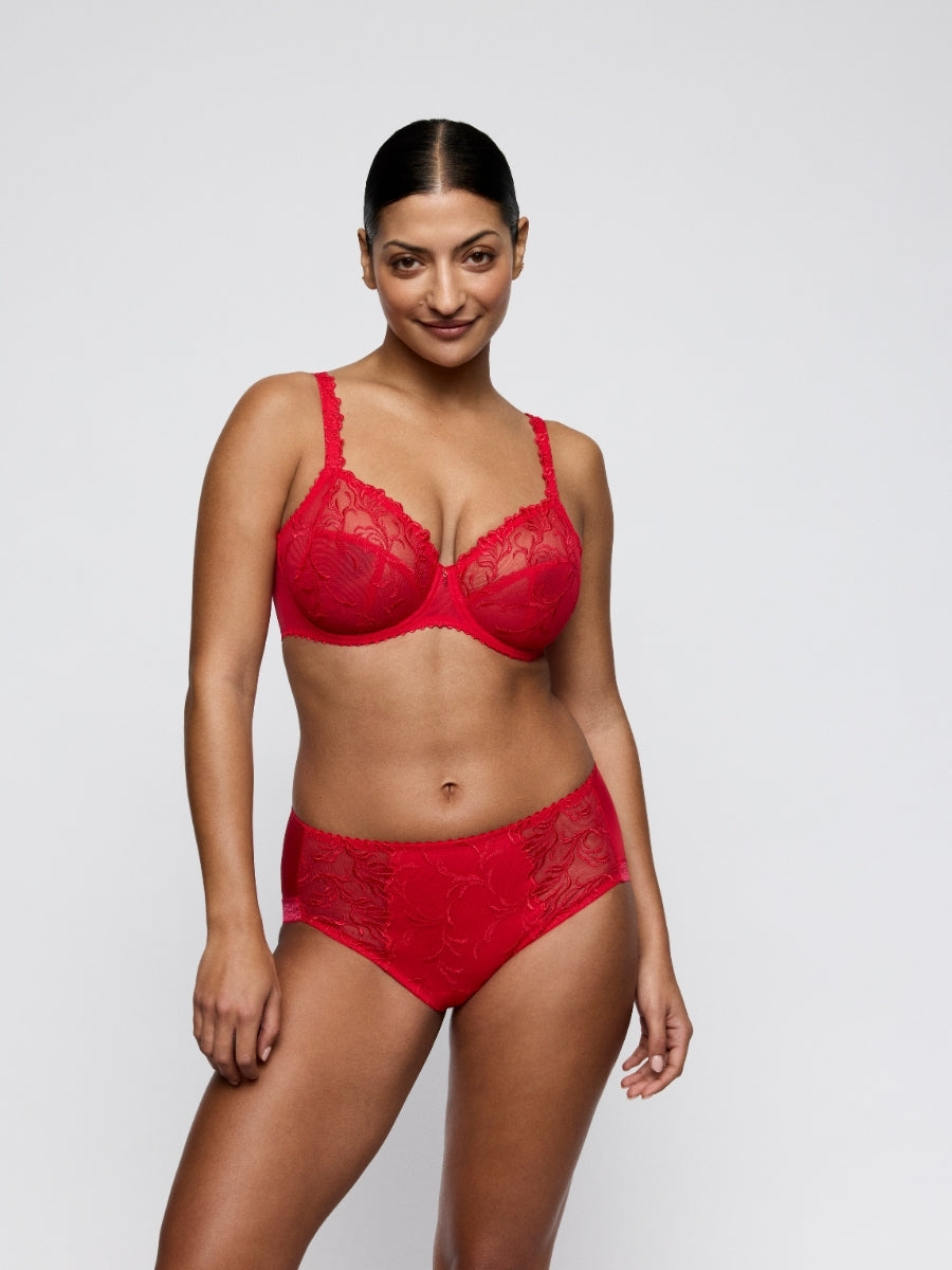 Solisse Full Brief