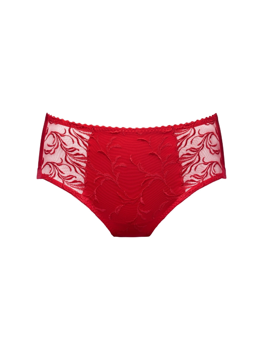 Solisse Full Brief