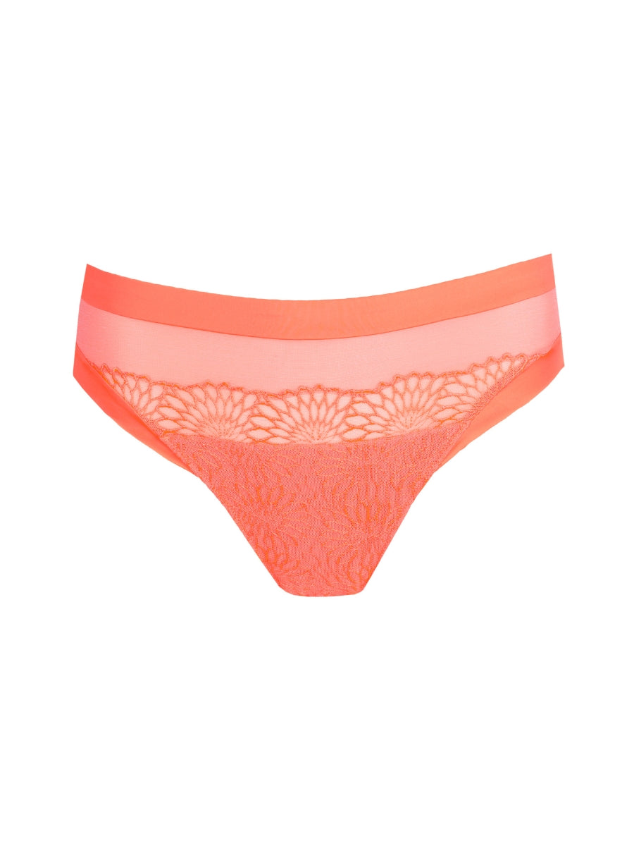 Sophora Rio Brief