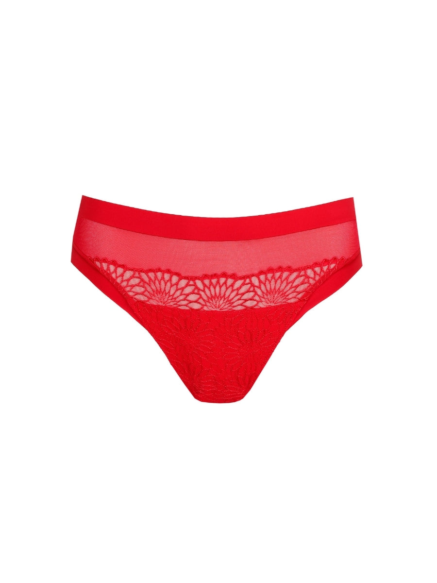 Sophora Rio Brief