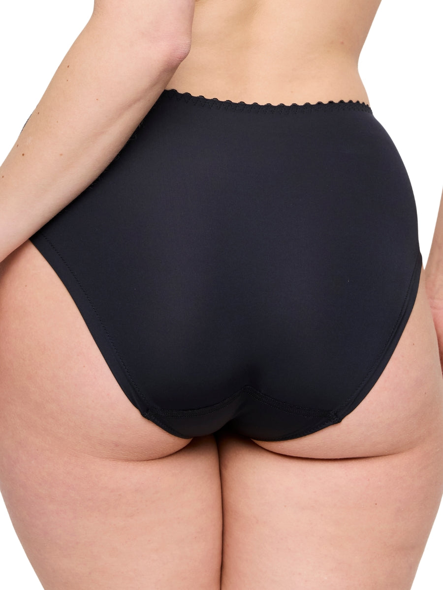 Springdale Full Brief