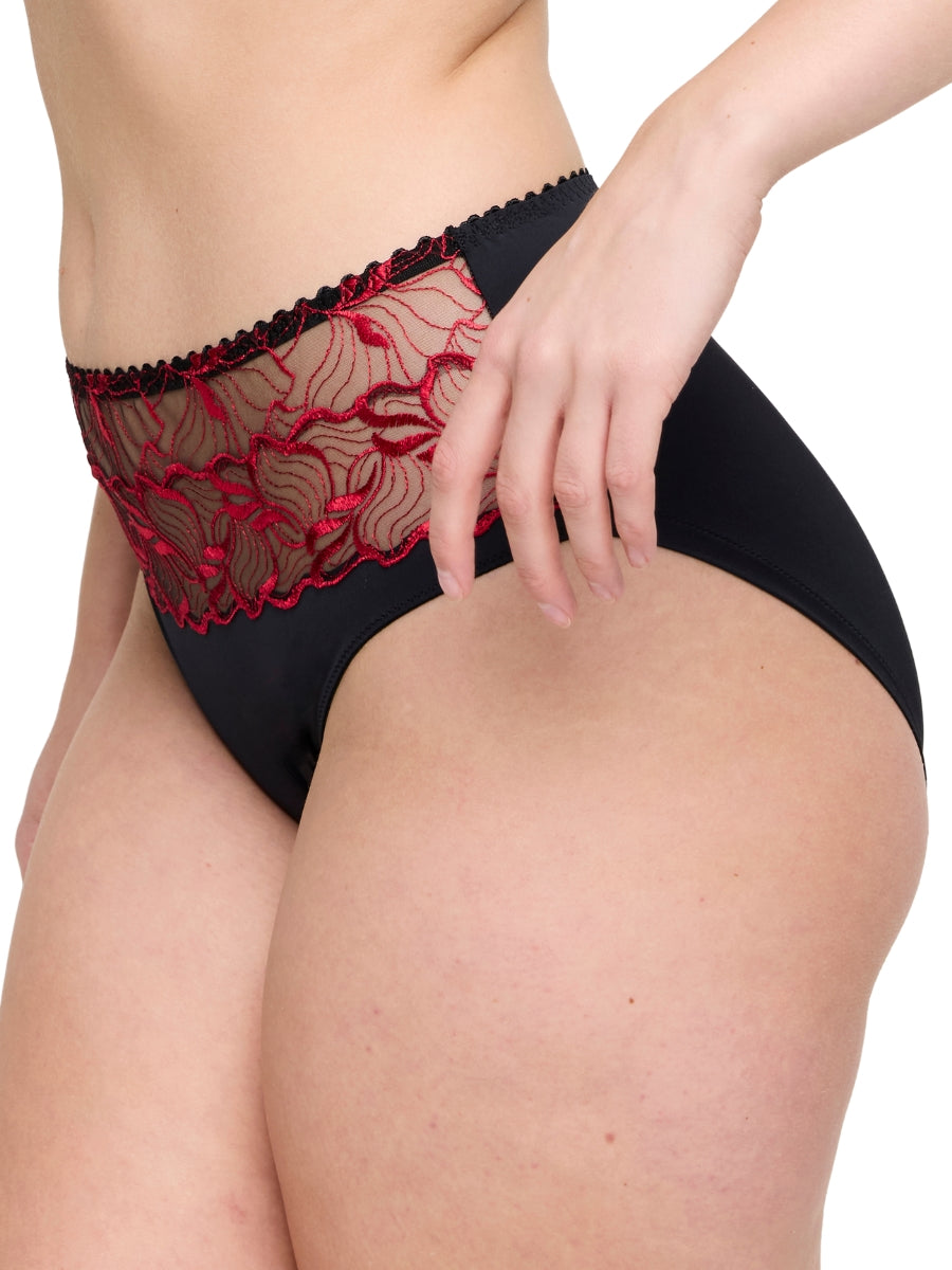 Springdale Full Brief