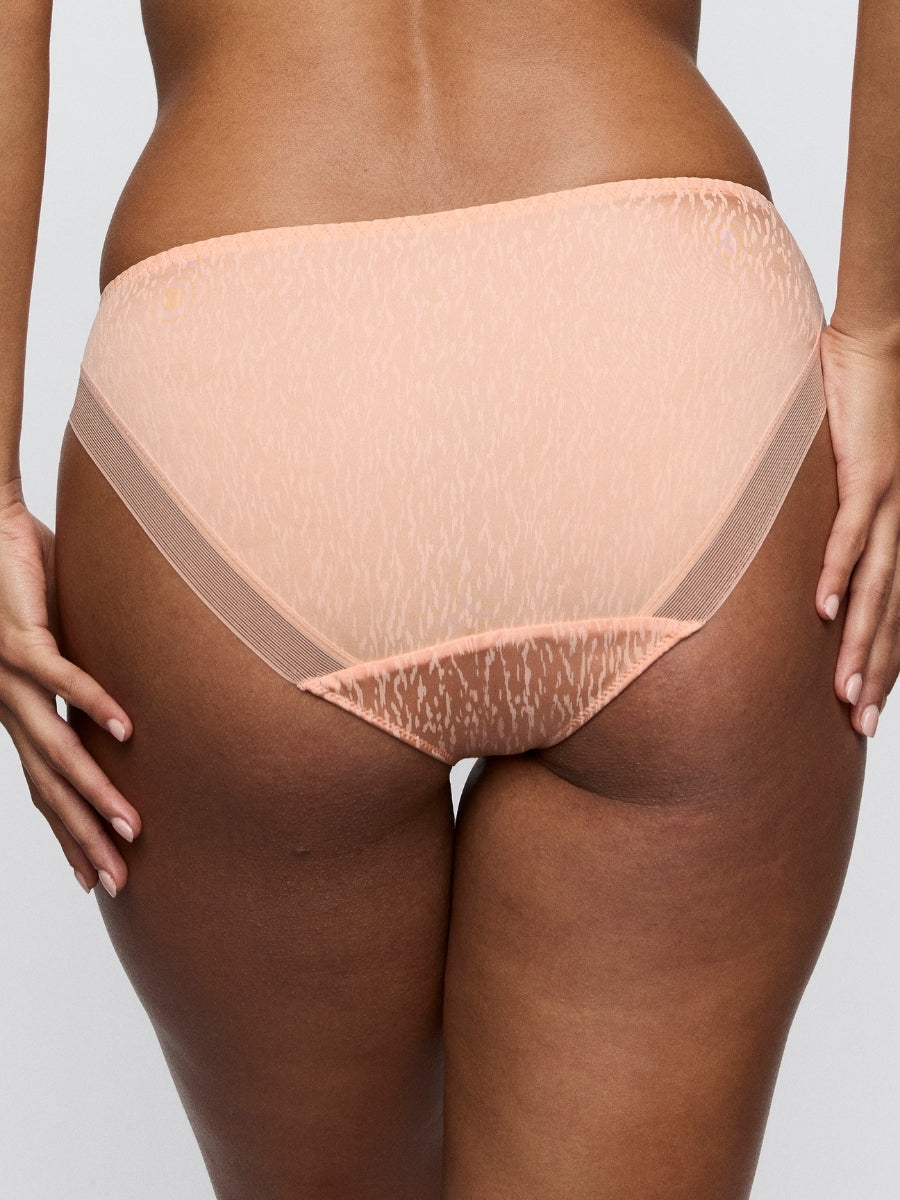 Dalli Rio Brief
