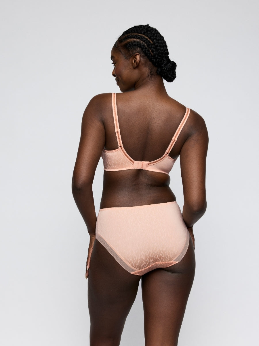 Dalli Full Brief