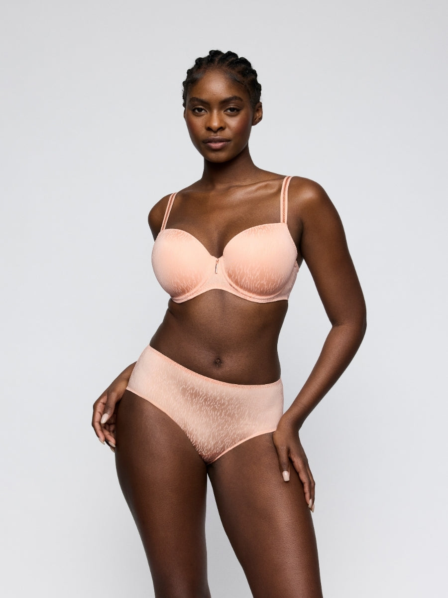 Dalli Full Brief