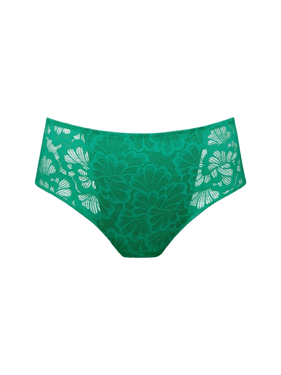 Mocuto Full Brief