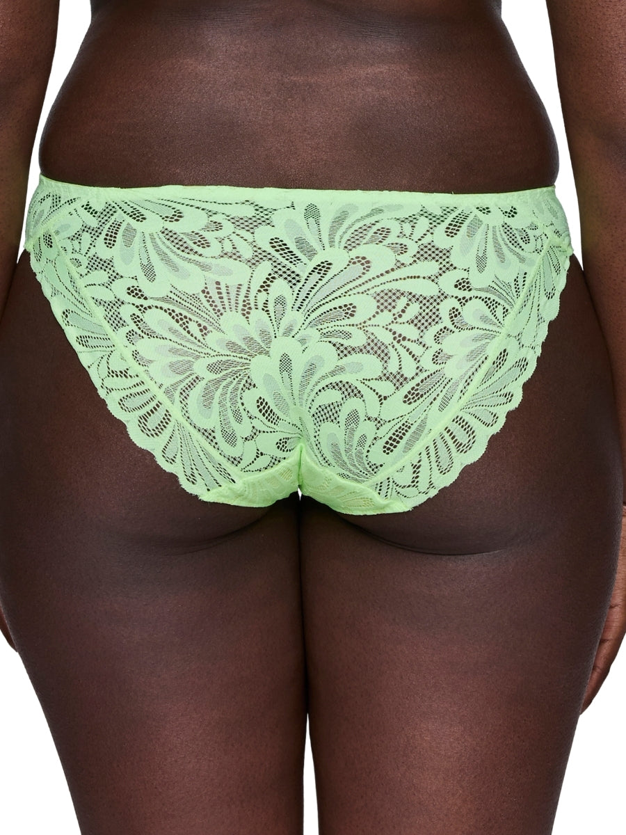 Rupi Rio Brief