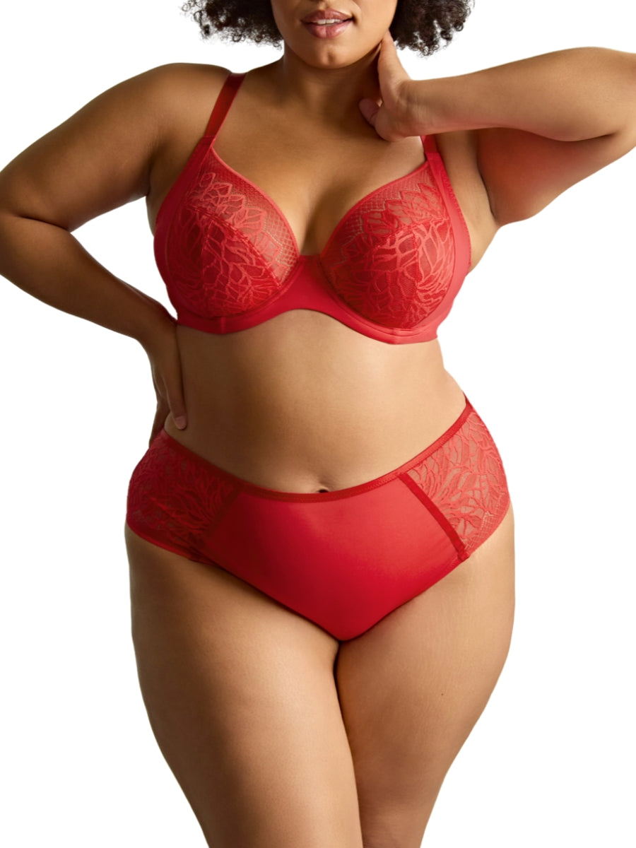 Sophia Deep Brief