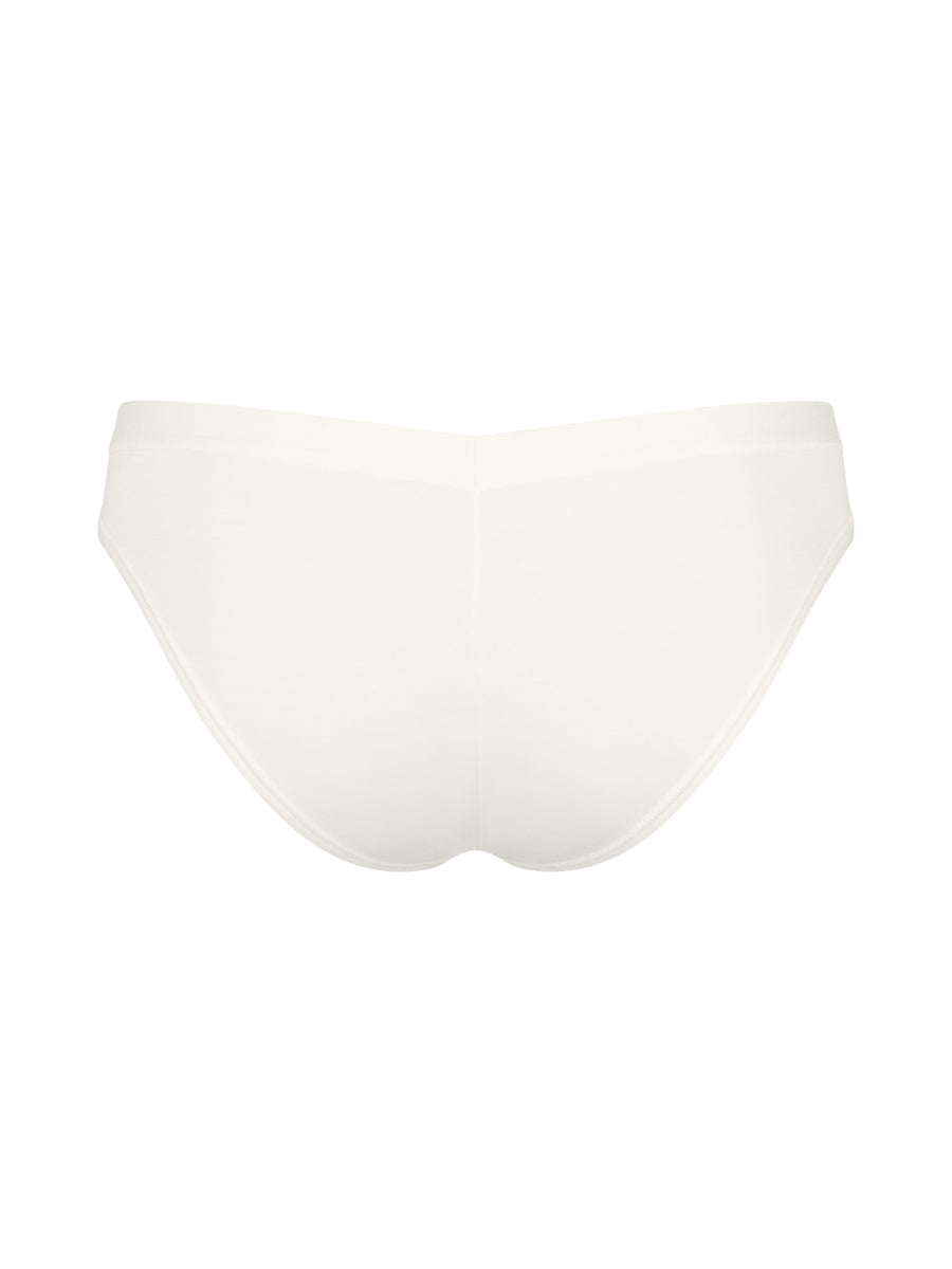FREE Evolve Mini Brief